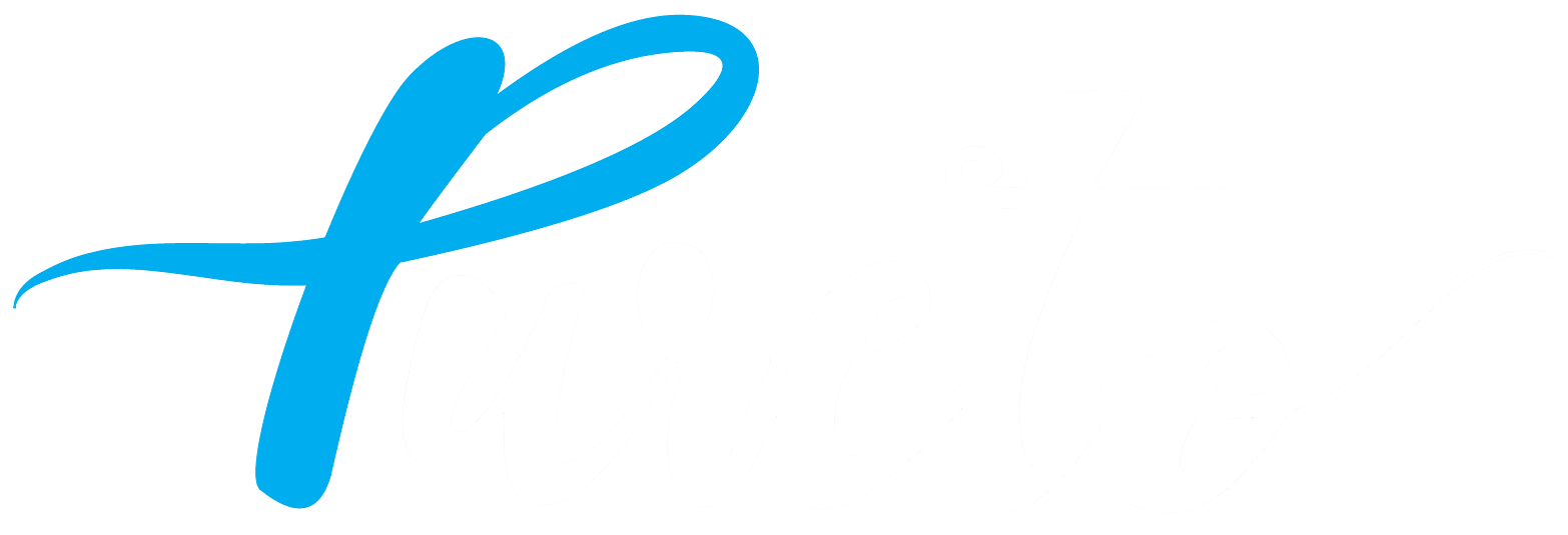 Pureto Software logo